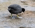20110618-IMG_5972