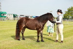 SBM_00392