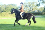 SBM_37349