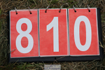 240825X-150106-35172