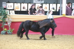 SBM_16582