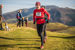Sale Fell-562