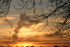 Golden Sunrise
