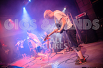 Pigsx7-100