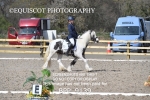 BPP_9139