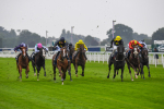 140723-Race 2-Swingalong-0146