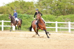 SBM_002264