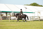 SBM_20104
