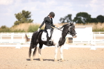 SBM_03627
