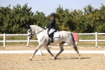 SBM_006628