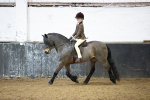SBM_008940