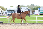 SBM_03291