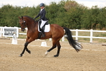 SBM_010531
