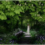 Queen of the May