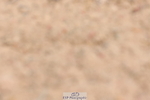 240706A-120429-01632