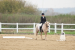 SBM_006294