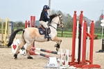 40cm Showjumping portfolio