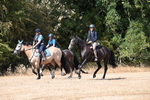 WJ6_9040