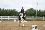 SBM_001033