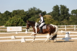 SBM_006997