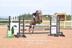 BPP_6034