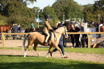 SBM_35717