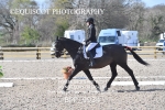 BPP_9934