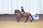 SBM_005005