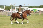 SBM_09571