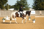 SBM_16456