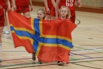 Orkney v Shetland netball use-21223