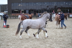 SBM_007279