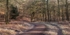 Bromley Hill Panorama