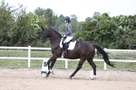SBM_017544