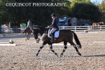 BPP_9568