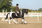 SBM_01140