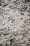 SBM_003424