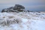 Frozen