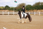 SBM_009329