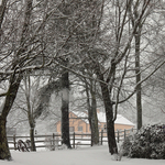 Winterscape