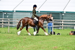 SBM_03714
