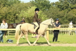 SBM_67418