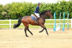 SBM_000454