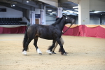 SBM_00595