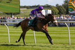 080624-Race 6-Tatterstall-4998