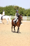 SBM_008648