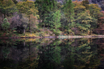 Autumn Reflection 02