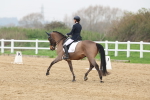 SBM_007902