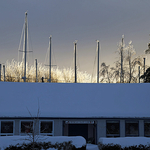 Icy Masts