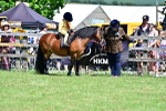 SBM_05901